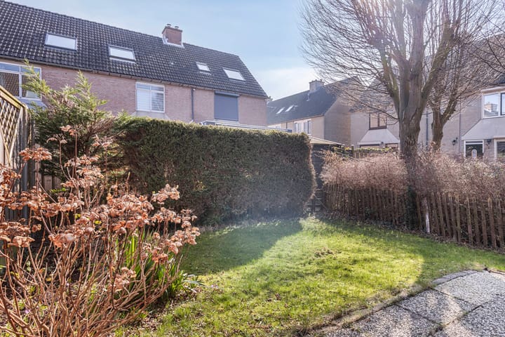 Foto 8 van Plevier 24