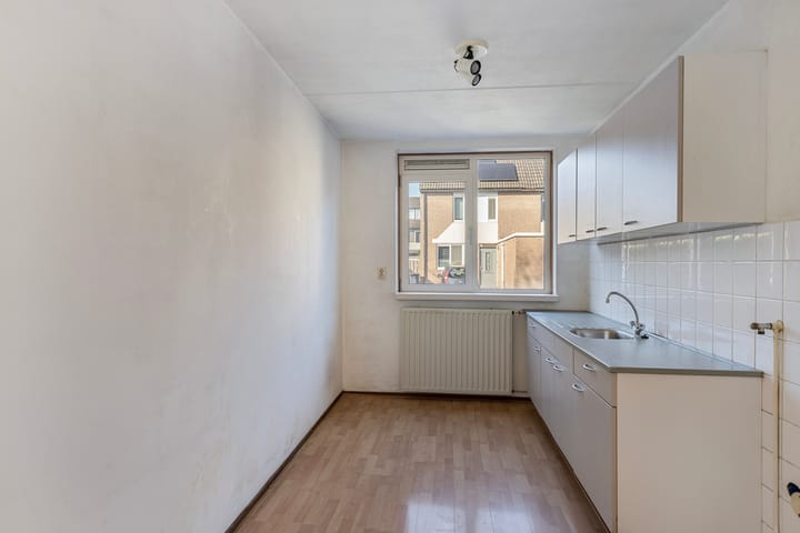 Foto 10 van Plevier 24