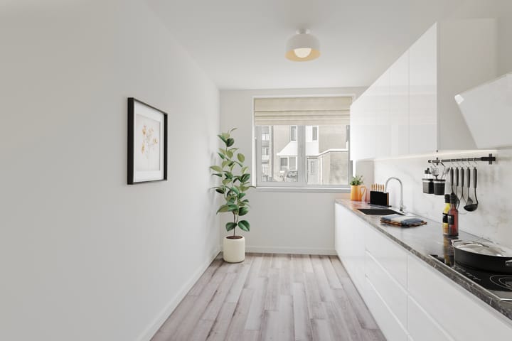 Foto 11 van Plevier 24