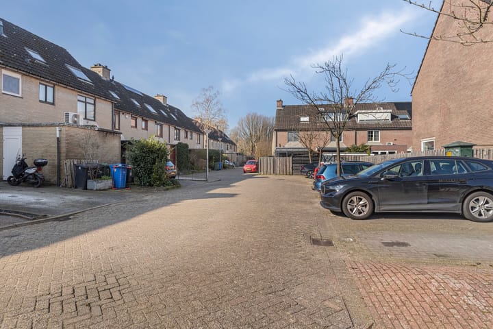 Foto 24 van Plevier 24