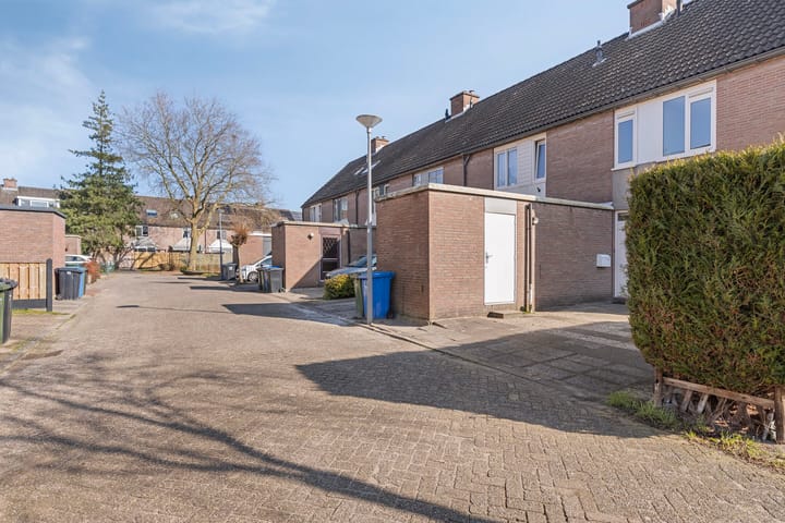 Foto 25 van Plevier 24