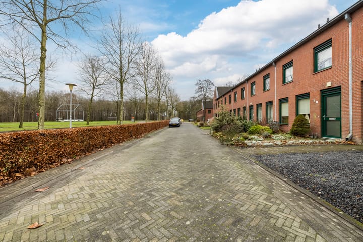 Foto 2 van Grasland 48