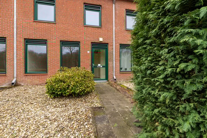 Foto 3 van Grasland 48