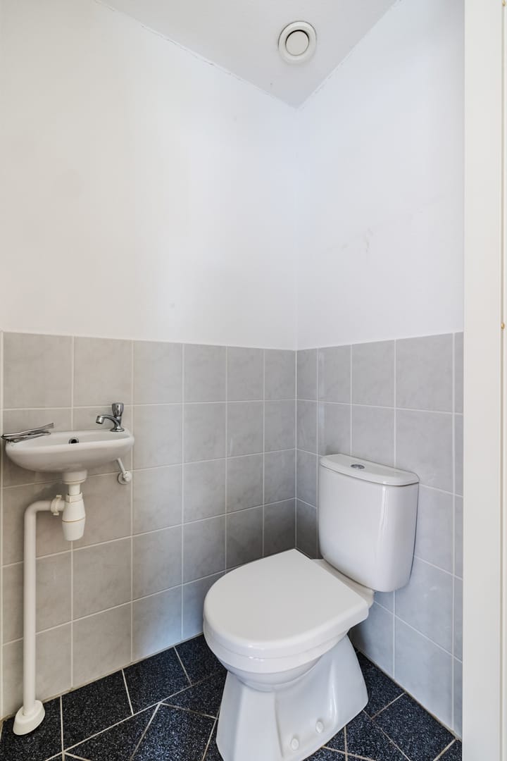 Foto 12 van Grasland 48