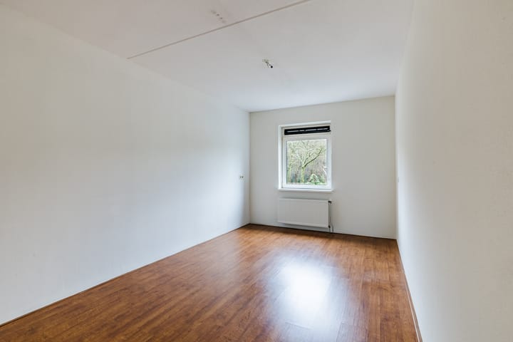 Foto 16 van Grasland 48