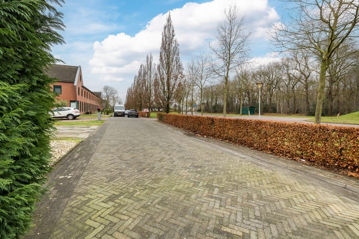 Foto 29 van Grasland 48