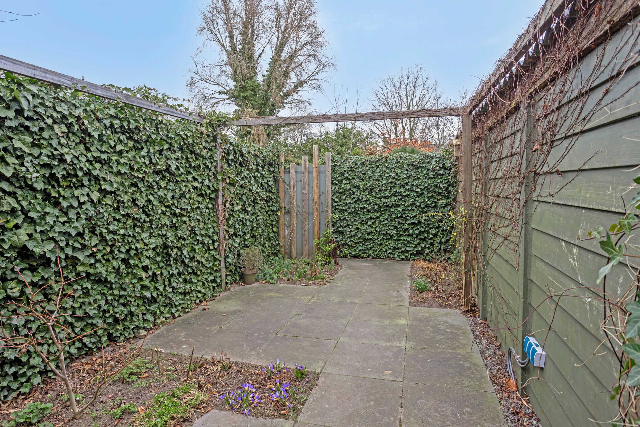 Foto 27 van Bakenbergseweg 60