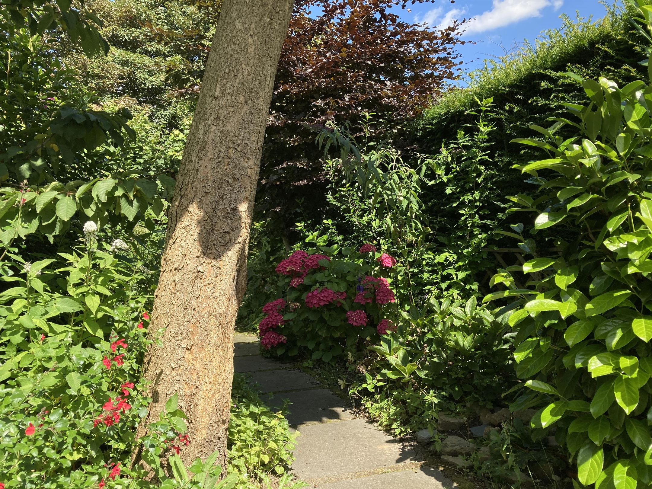 Foto 24 van Bakenbergseweg 60