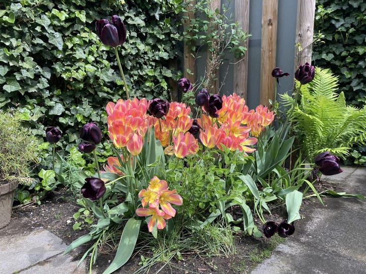 Foto 26 van Bakenbergseweg 60