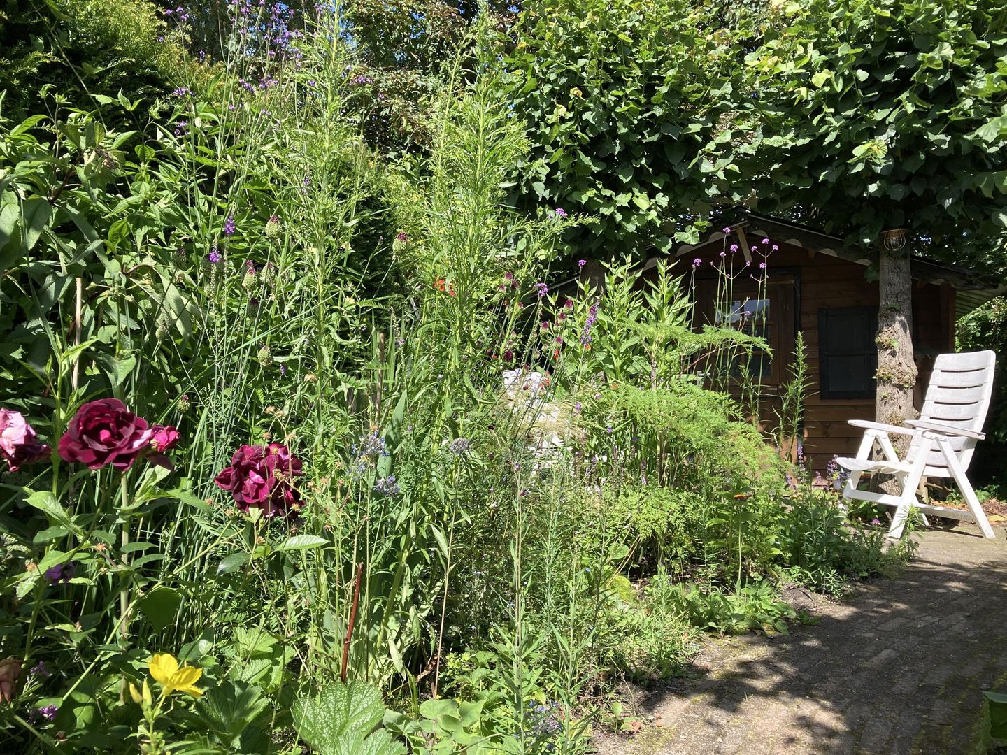 Foto 25 van Bakenbergseweg 60