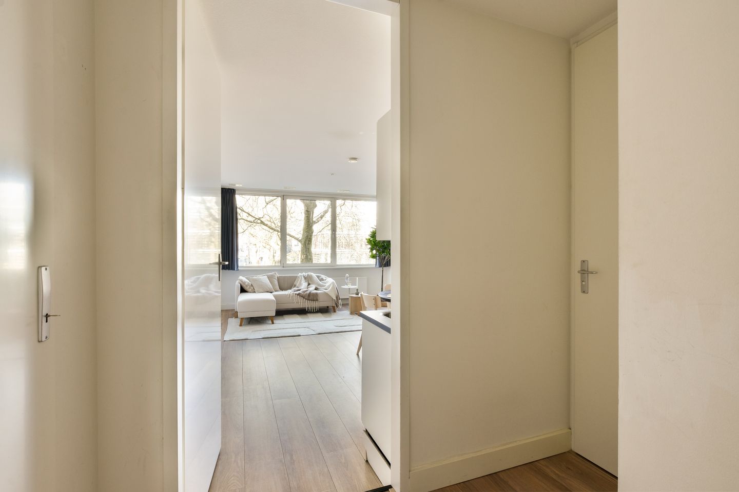 Foto 5 van Rijswijkstraat 159-A