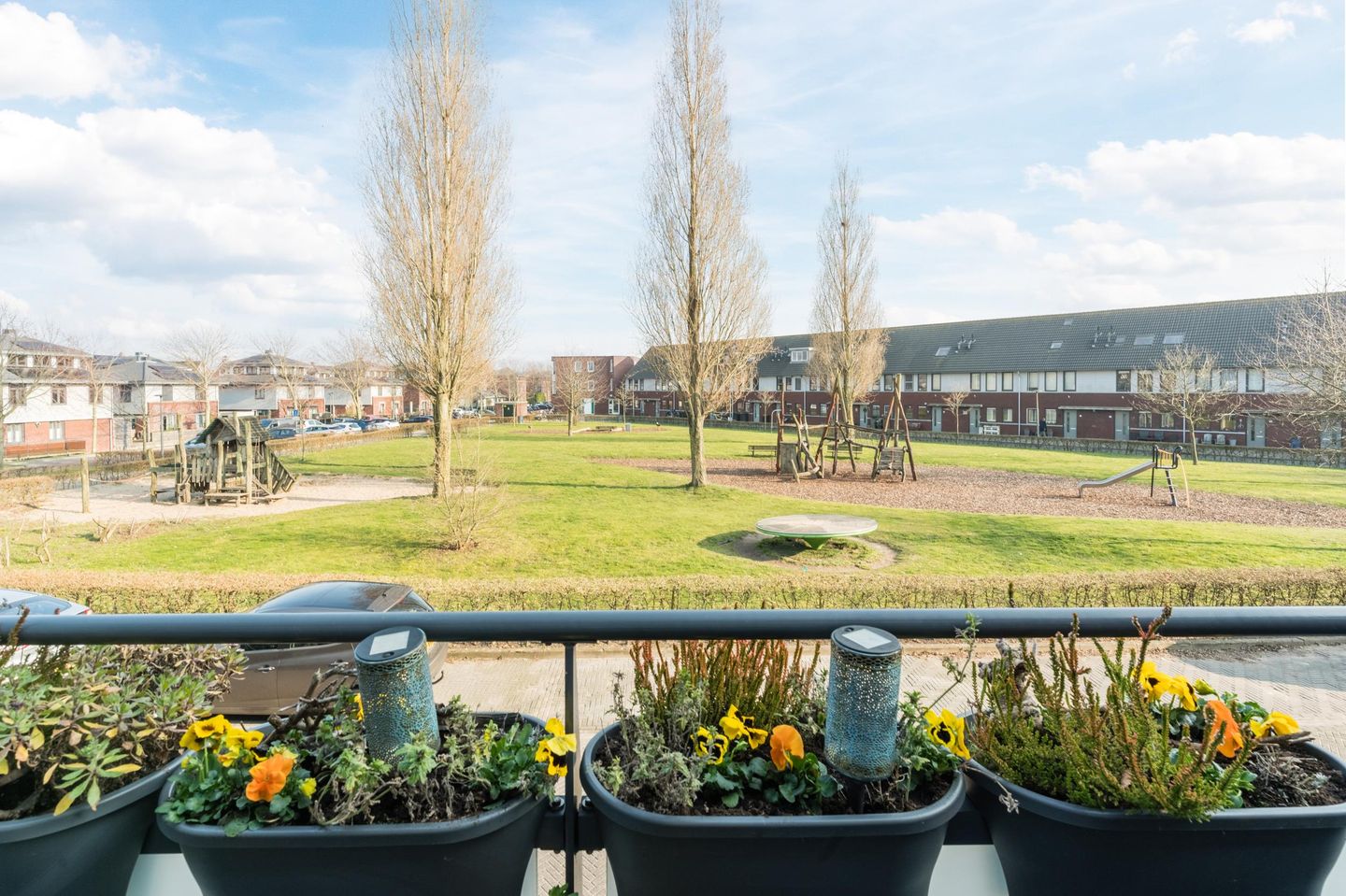 Photo 50 of Lauwers 12