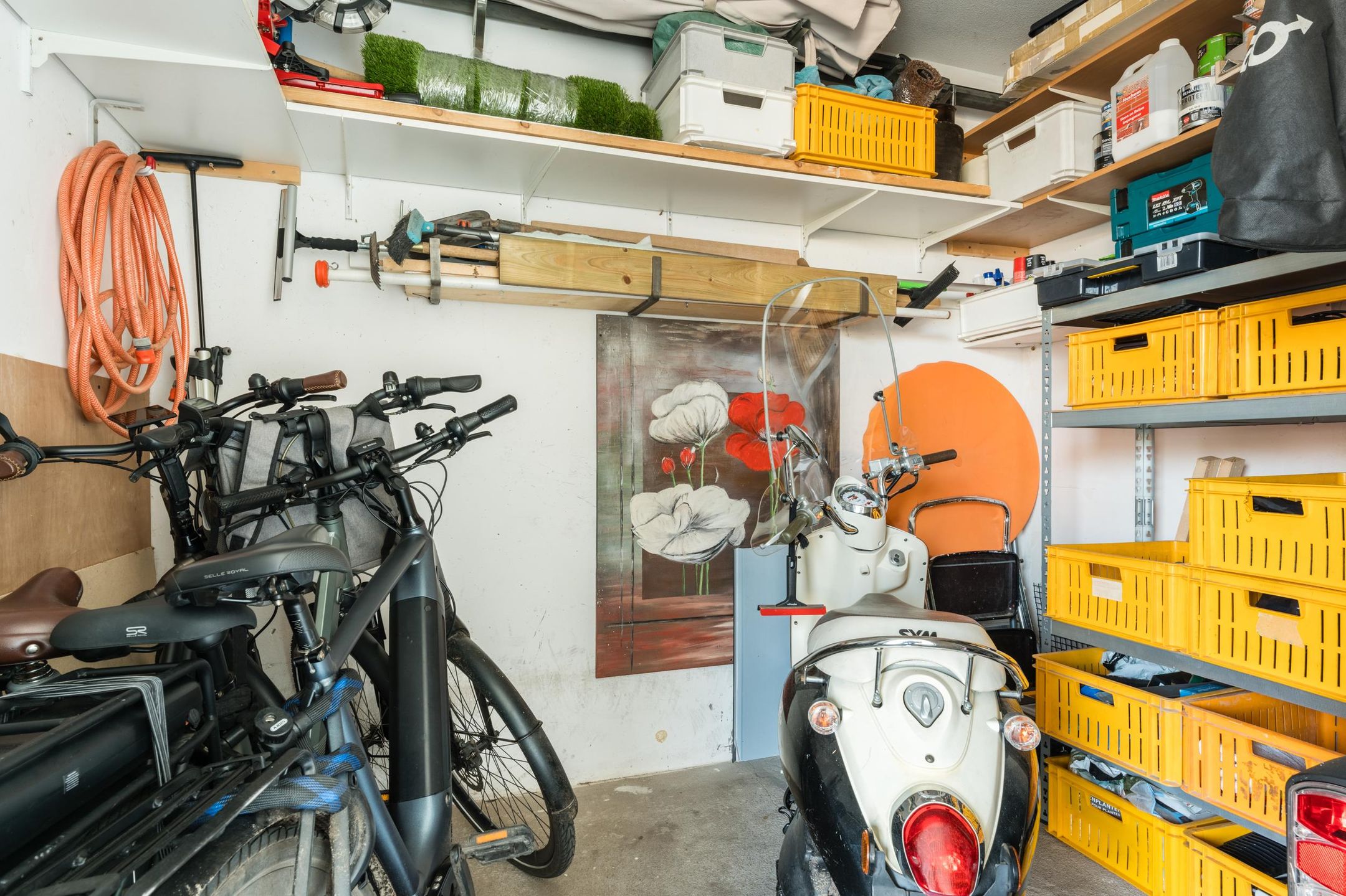 Photo 51 of Lauwers 12