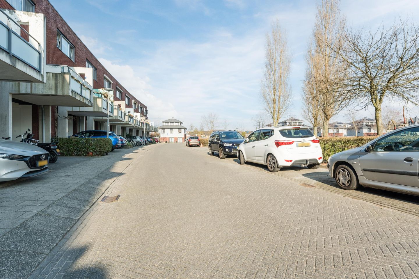 Photo 65 of Lauwers 12