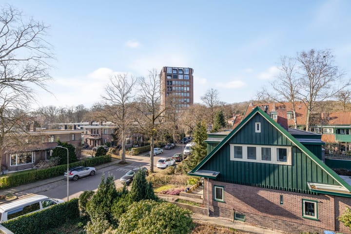 Foto 35 van Pontanuslaan 33