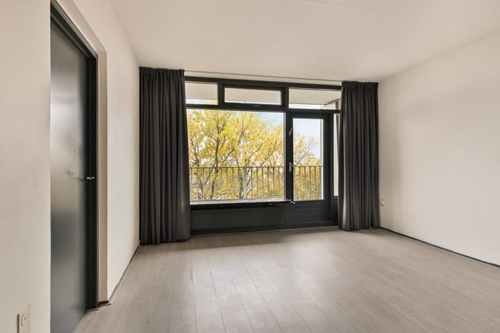 Foto 3 van Tjaarda 198