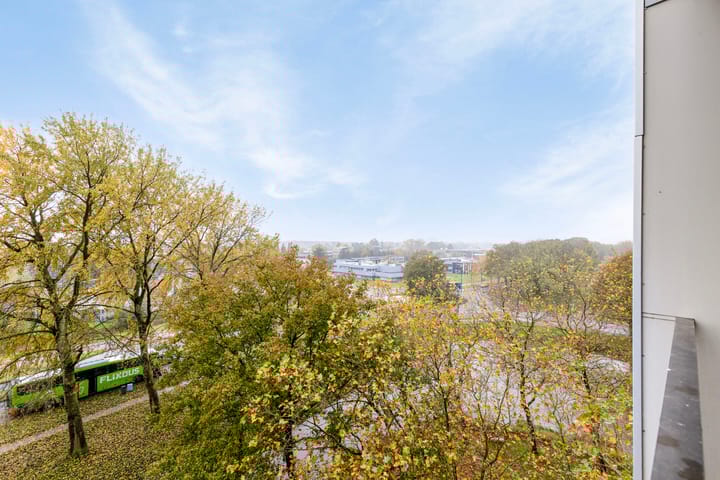 Foto 20 van Tjaarda 198