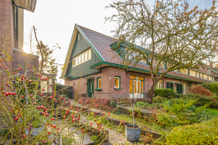 Foto 6 van Goeman Borgesiusplein 37