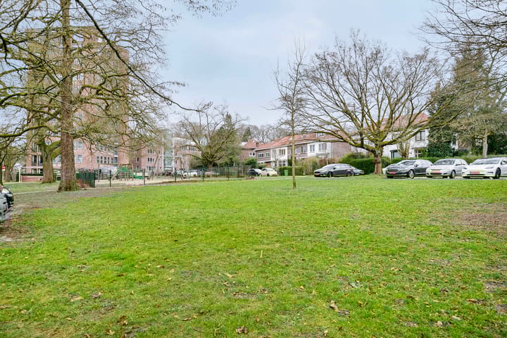 Foto 40 van Goeman Borgesiusplein 37