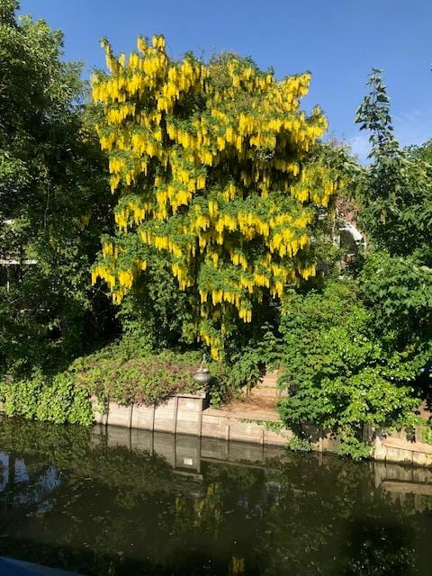 Foto 59 van Burgemeester Schoutsenstraat 8-A