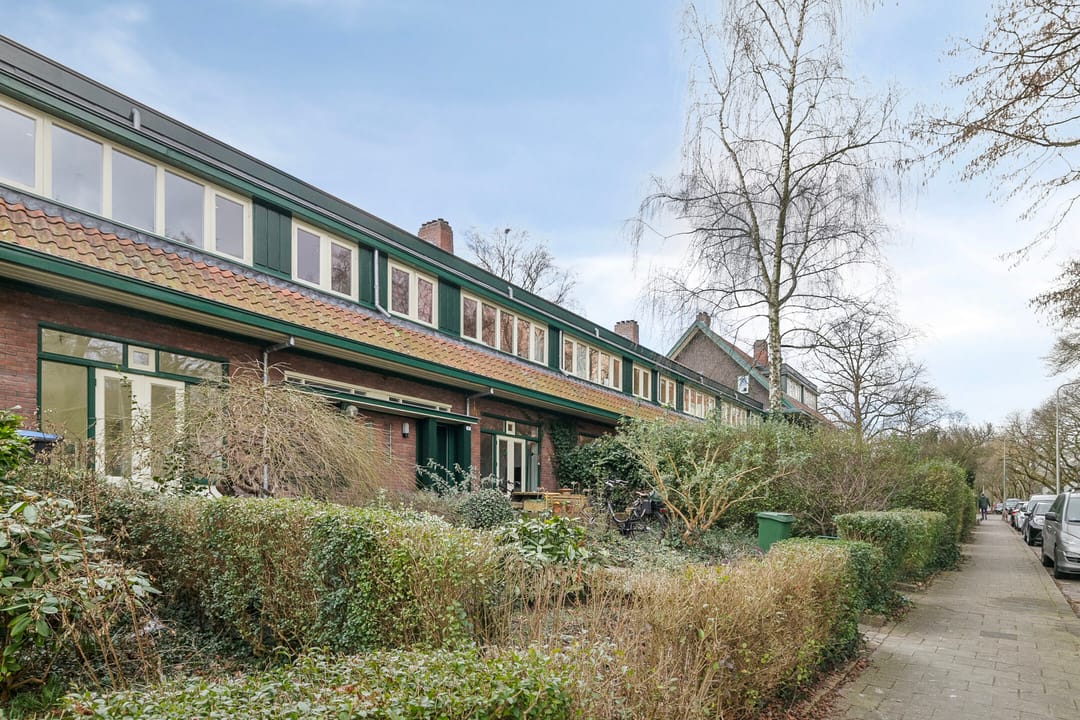 Foto 7 van Goeman Borgesiusplein 39