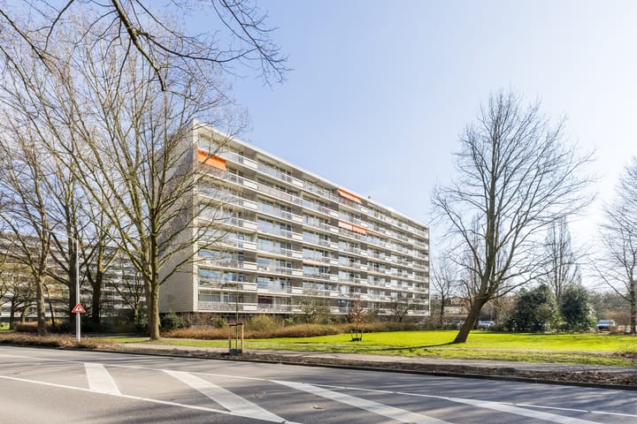 Foto 27 van Schouwenselaan 93