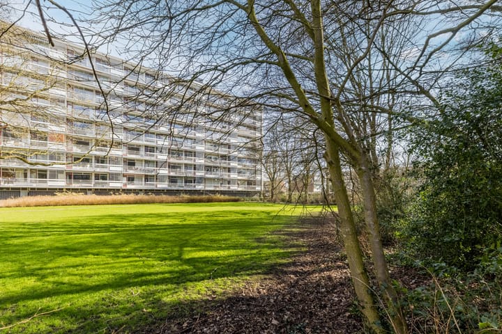 Foto 30 van Schouwenselaan 93