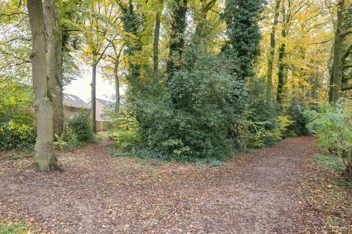 Foto 42 van Holtwiklanden 44