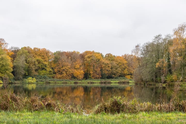 Foto 44 van Holtwiklanden 44