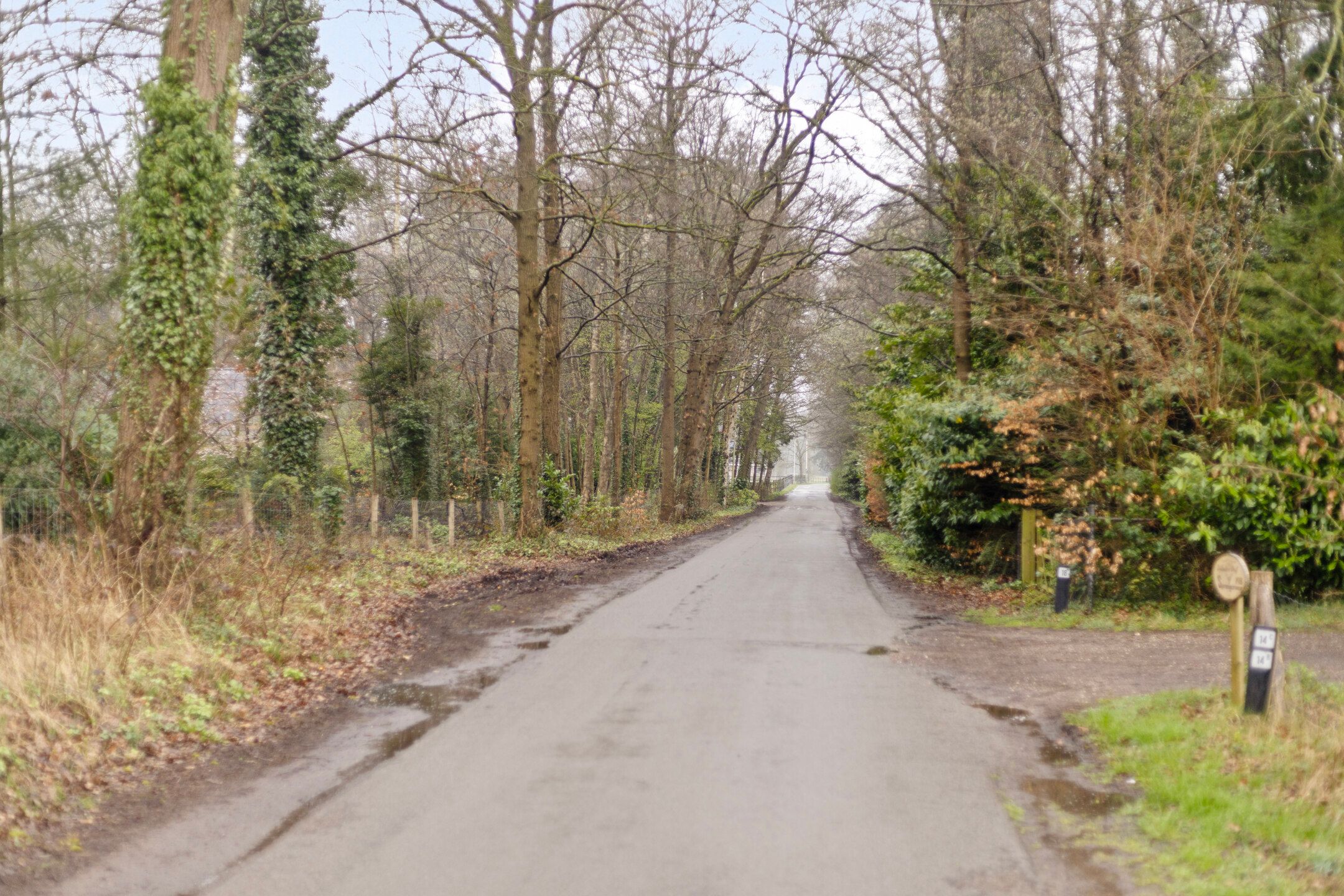 Foto 33 van Sprengenweg 107