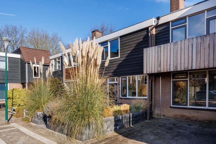 Foto 43 van Dommel 45