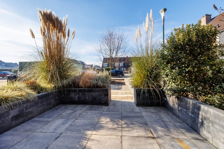 Foto 45 van Dommel 45