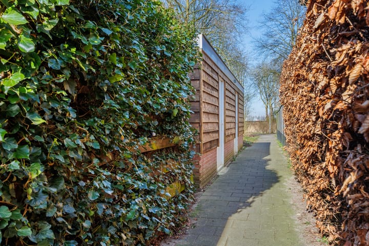 Foto 48 van Dommel 45