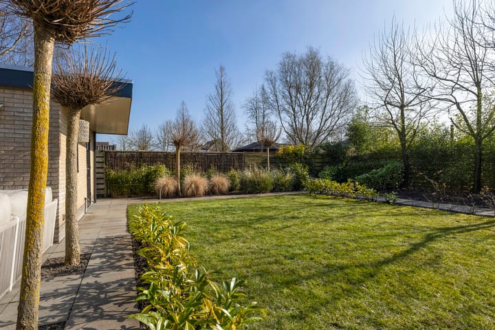 Photo 25 of Boeier 7