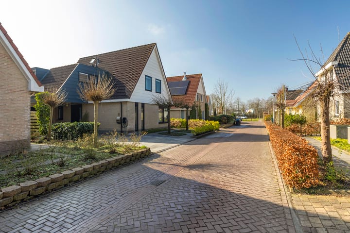 Photo 56 of Boeier 7