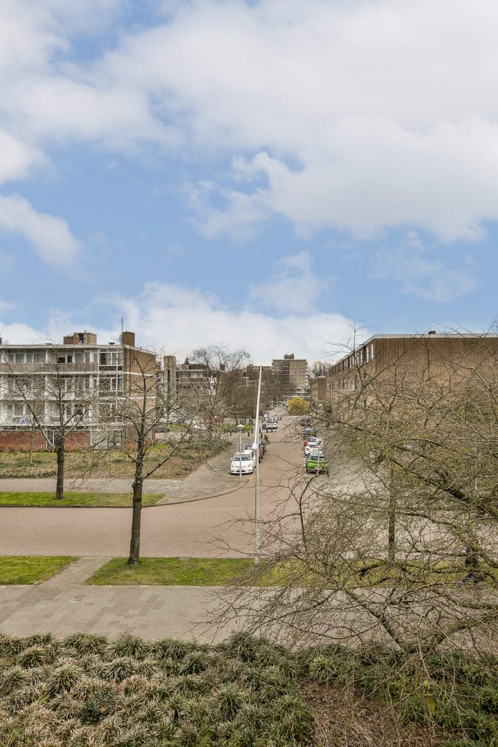 Foto 28 van Schierstins 85