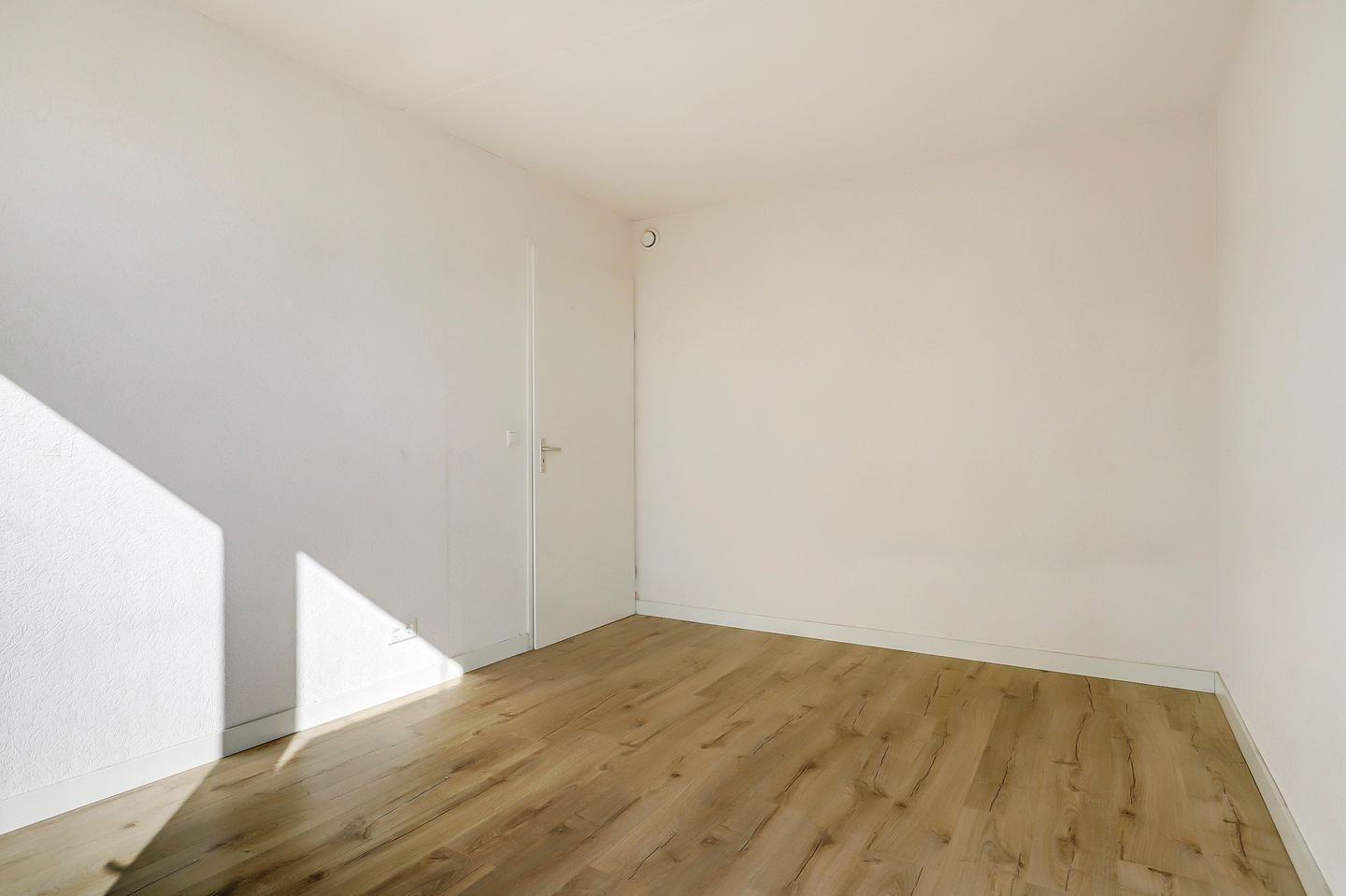 Photo 25 of Kop van Het Ruim 93