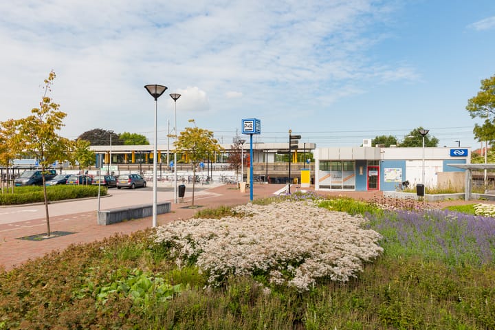 Foto 35 van Papelaan 64