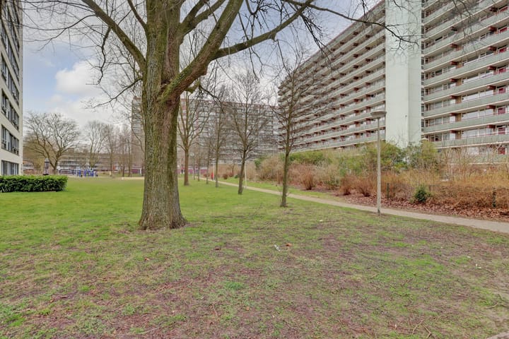 Foto 1 van Nieuwendamlaan 274