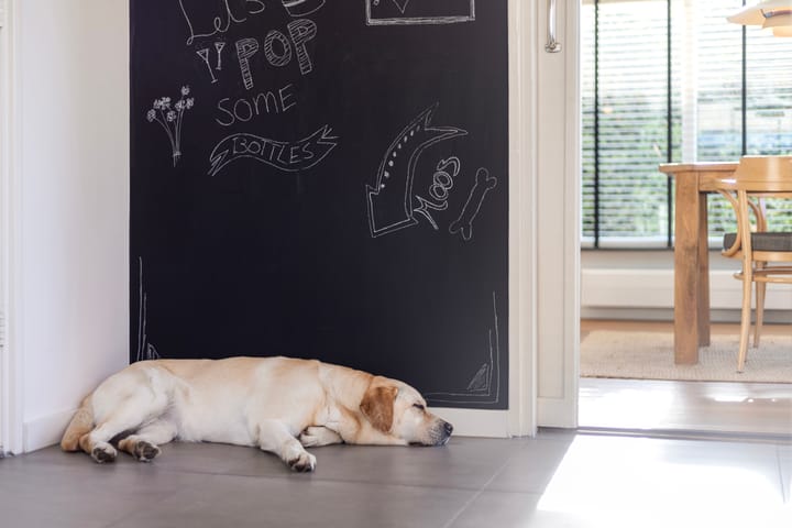 Photo 17 of Bussloselaan 11-A