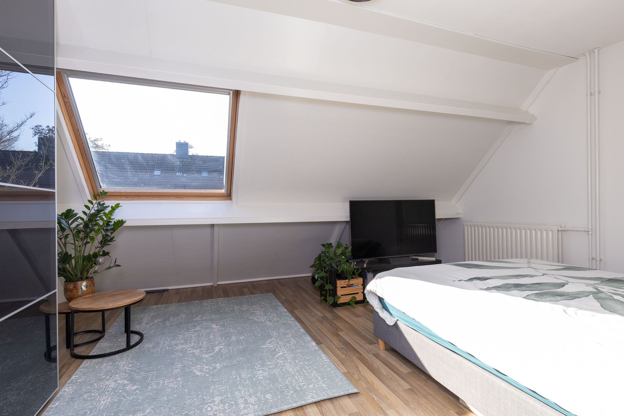 Foto 21 van Paardebloem 67