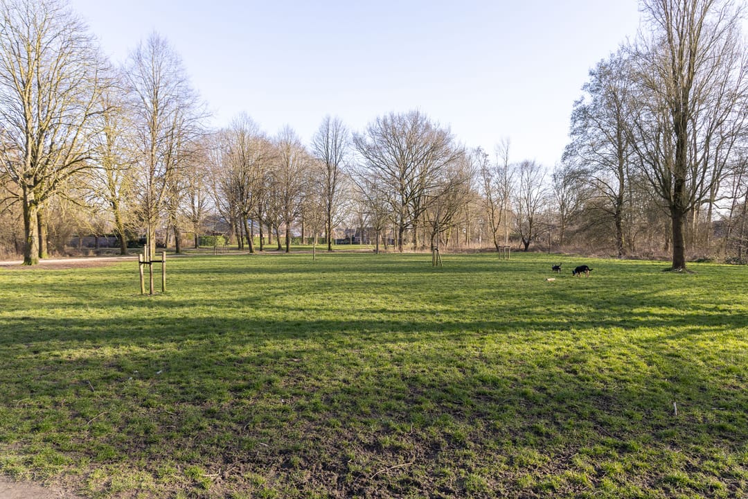 Foto 28 van Paardebloem 67