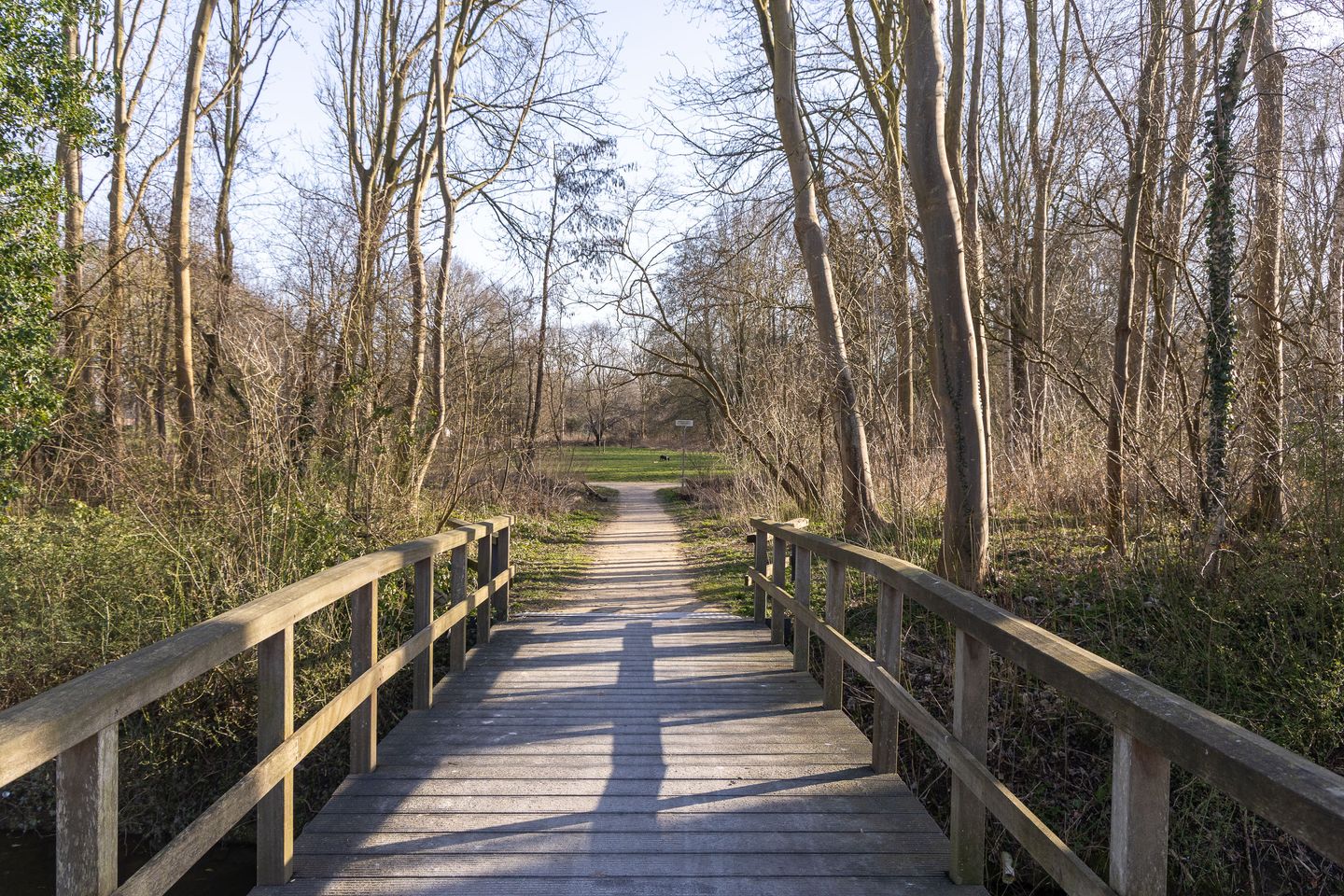 Foto 29 van Paardebloem 67