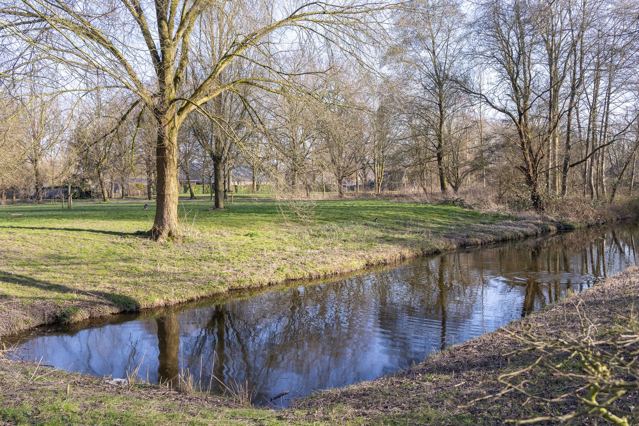 Foto 30 van Paardebloem 67