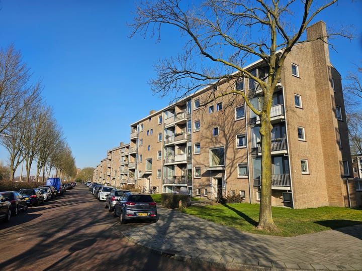 Foto 5 van Delftlaan 431-III