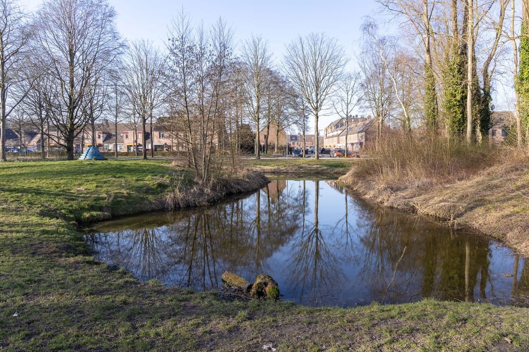 Foto 31 van Paardebloem 67