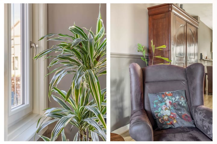 Foto 7 van Tulpenstraat 21