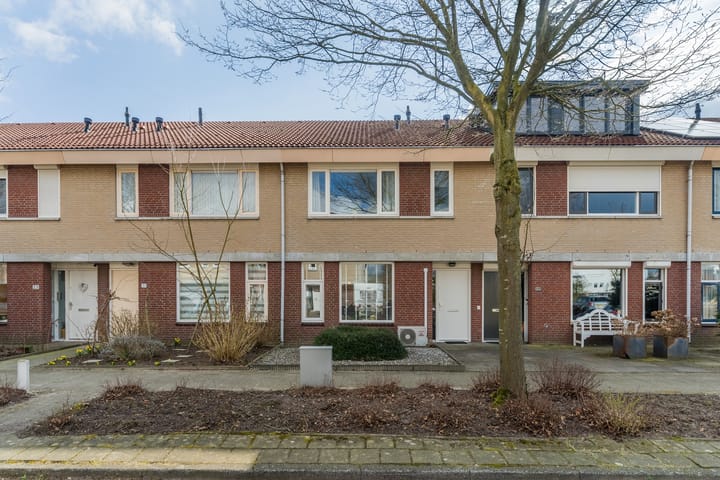 Foto 6 van Elrond 33