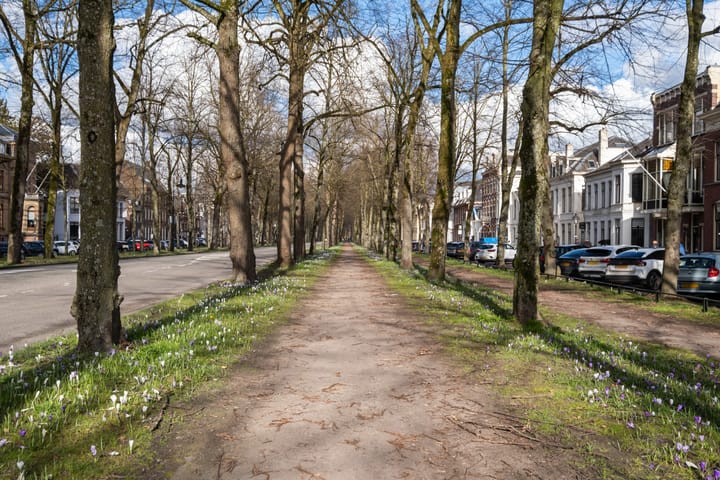 Foto 38 van Wagendwarsstraat 41