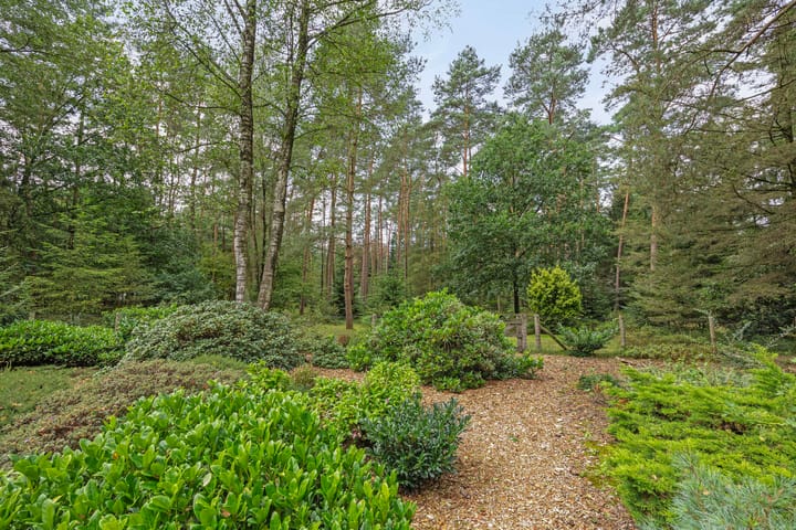 Foto 49 van Oude Elburgerweg 5